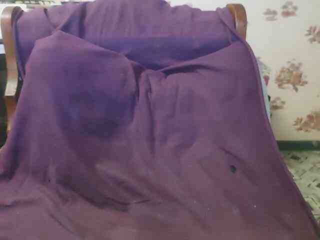 Zanguardik Zanguardik