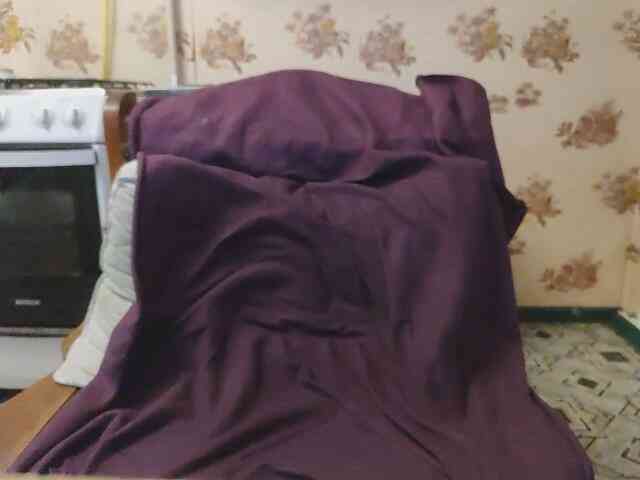 Zanguardik Zanguardik