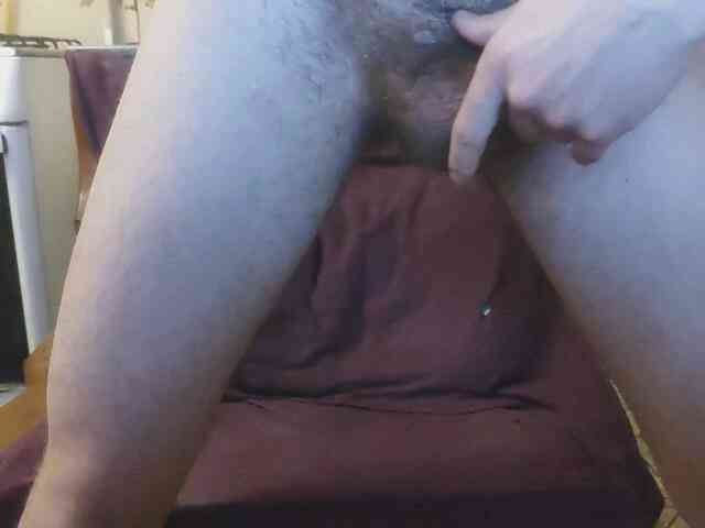 Zanguardik Zanguardik