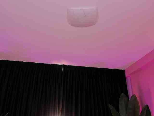 arabian-princess arabian-princess