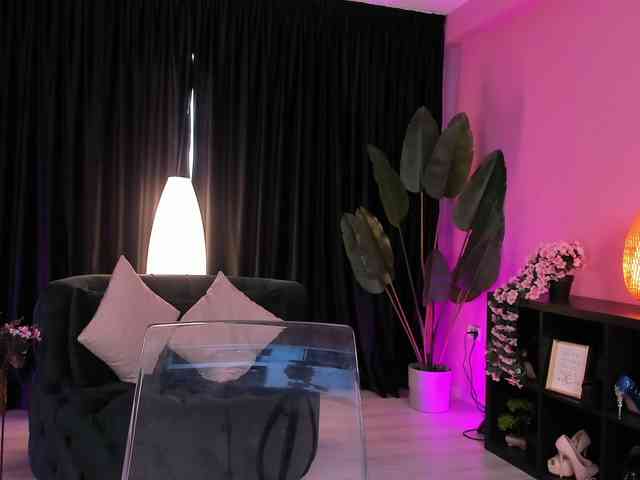 arabian-princess arabian-princess