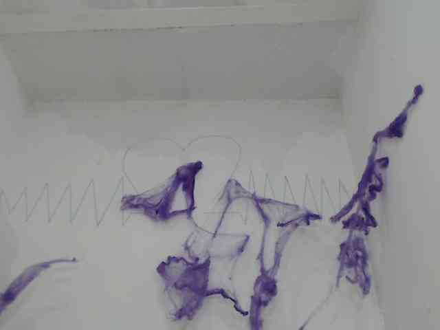 Japonesahot01 webcam