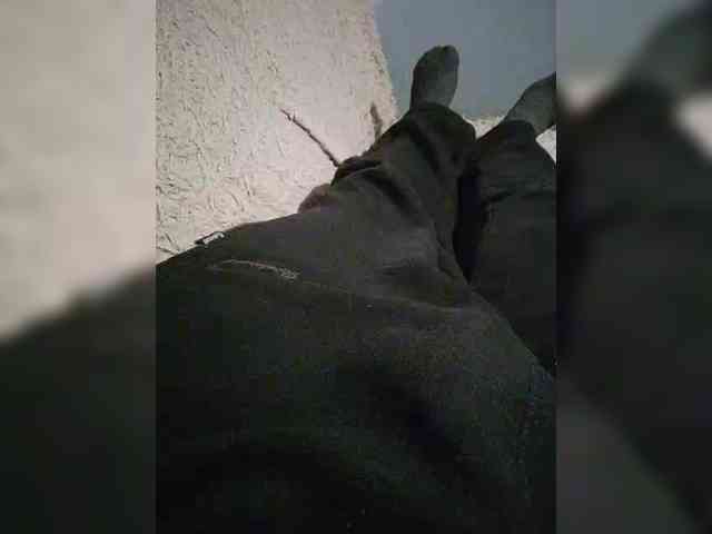 Vitalka91 Live Webcam on BongaCams