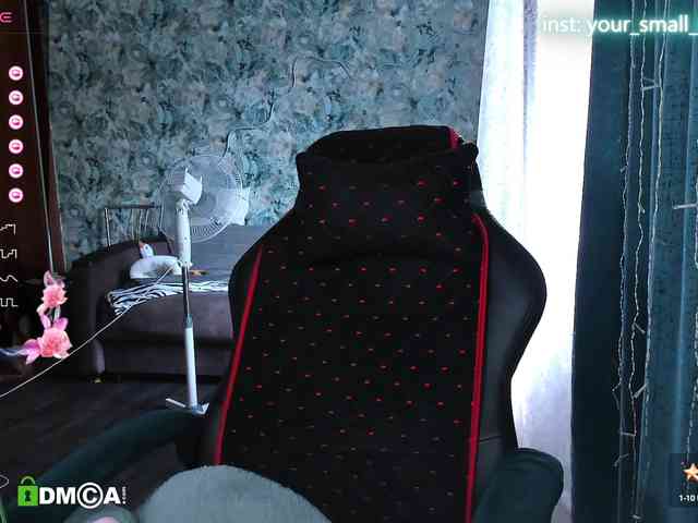 your-small-bunny webcam