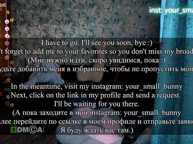 your-small-bunny webcam