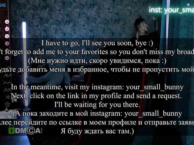 your-small-bunny webcam