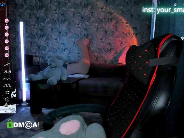 your-small-bunny webcam