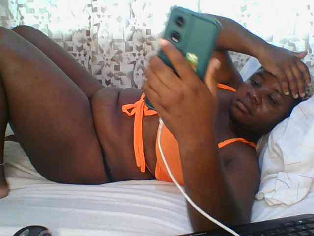 Hornyskyller webcam