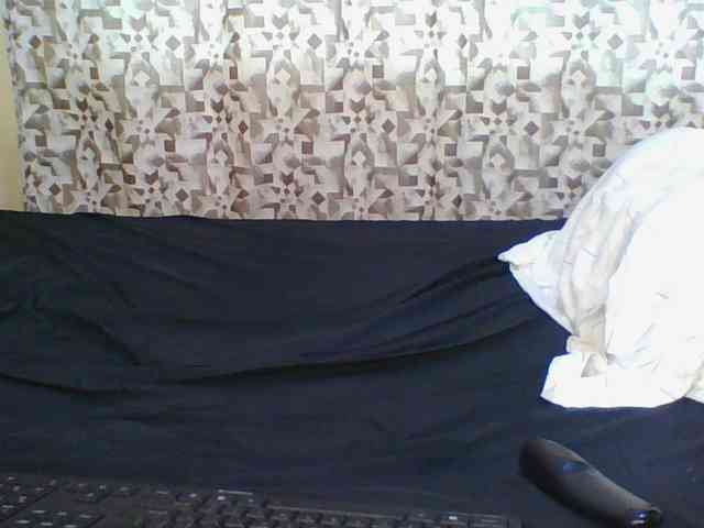 Hornyskyller webcam