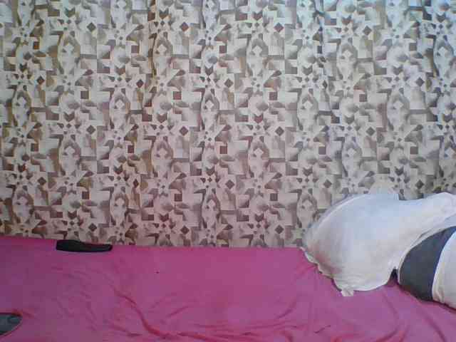 Hornyskyller webcam