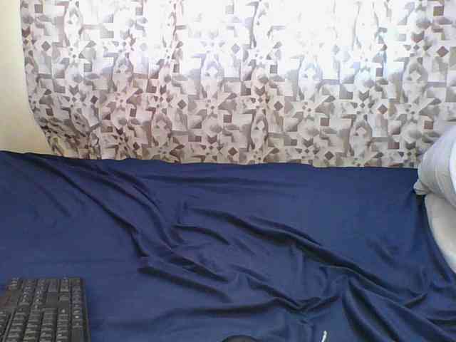 Hornyskyller webcam