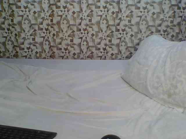 Hornyskyller webcam