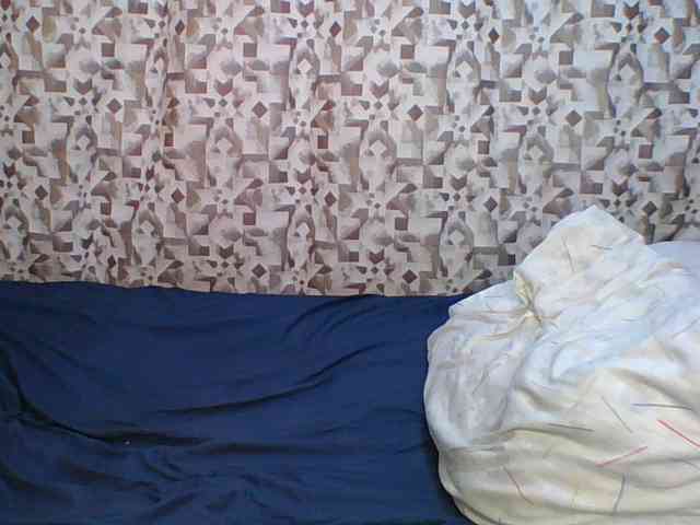 Hornyskyller webcam