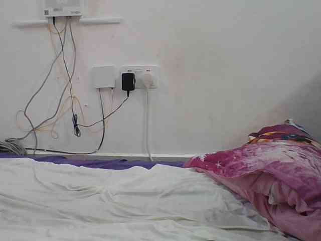Hornyskyller webcam