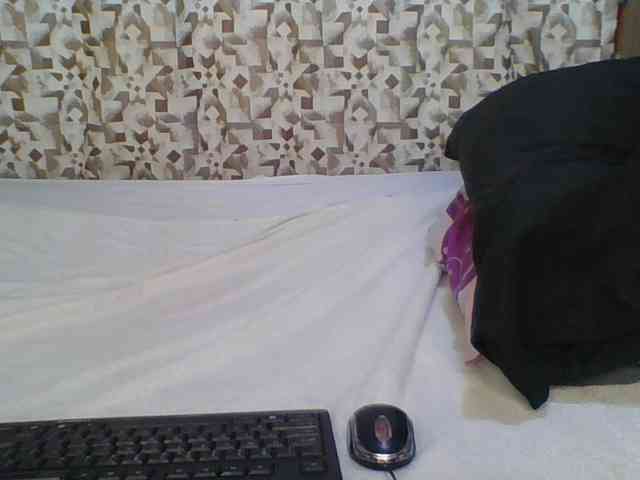Hornyskyller webcam