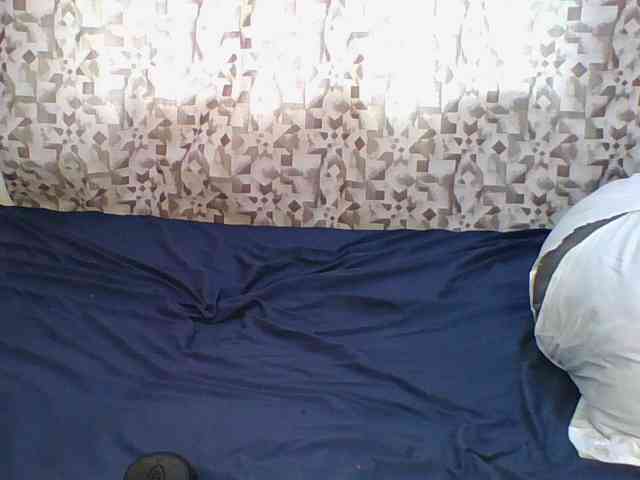 Hornyskyller webcam