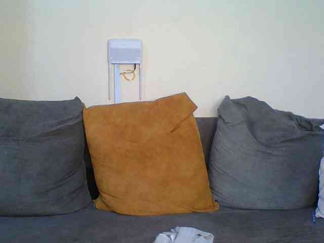 Hornyskyller webcam
