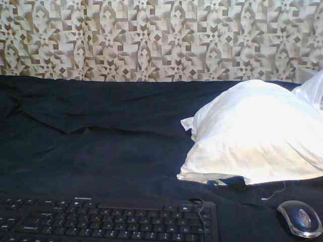 Hornyskyller webcam