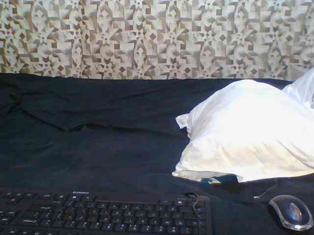Hornyskyller webcam
