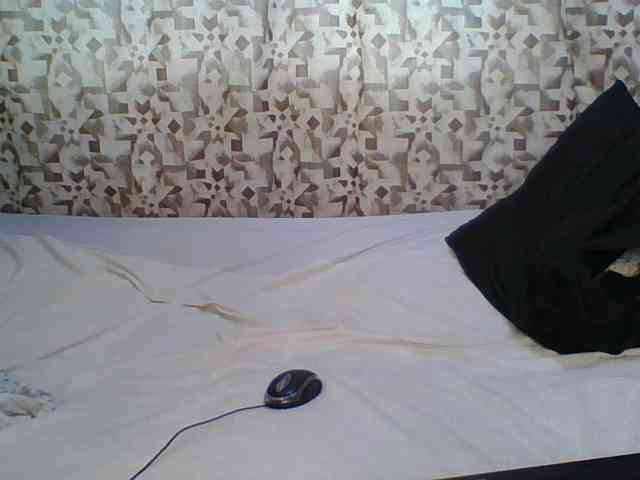 Hornyskyller webcam