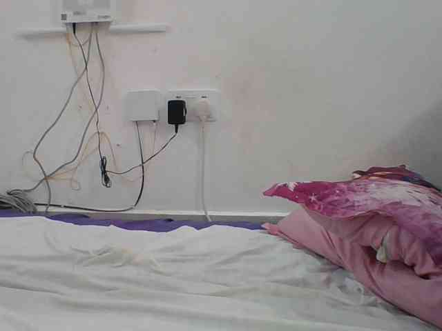 Hornyskyller webcam