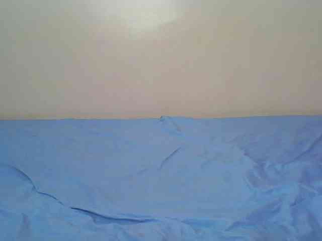 Hornyskyller webcam