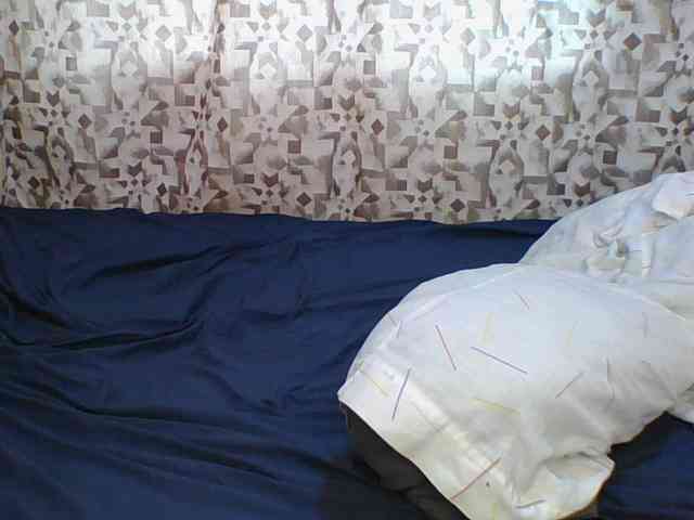 Hornyskyller webcam