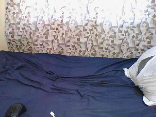 Hornyskyller webcam