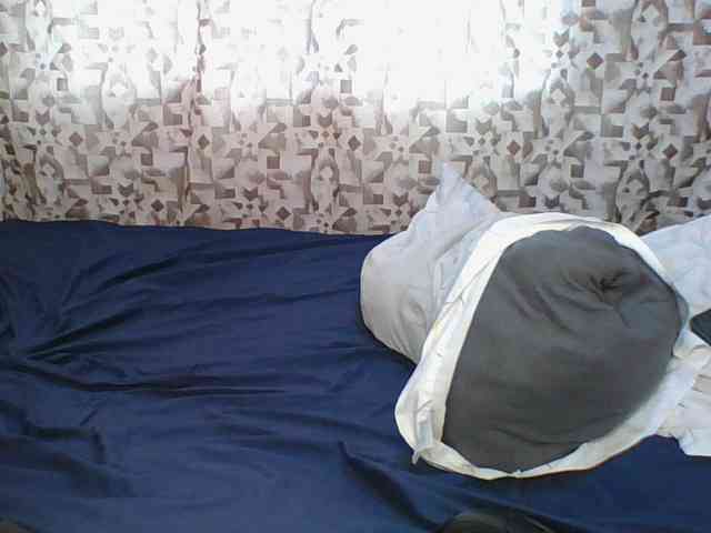 Hornyskyller webcam
