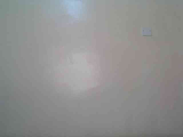 Hornyskyller webcam