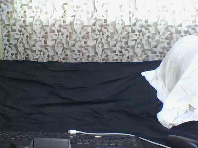 Hornyskyller webcam
