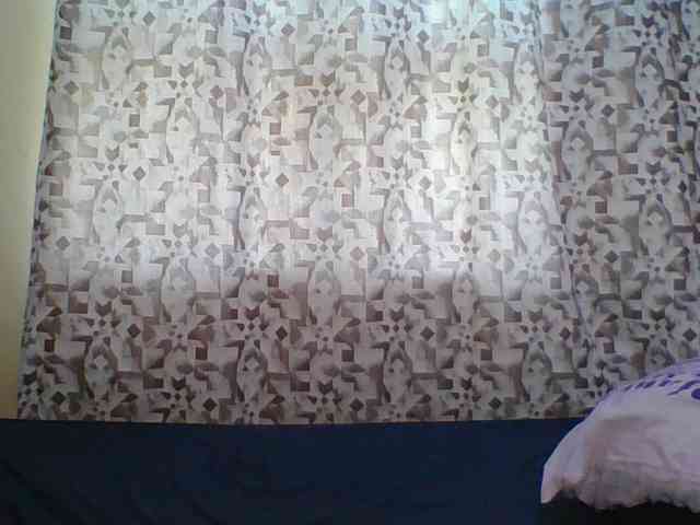 Hornyskyller webcam