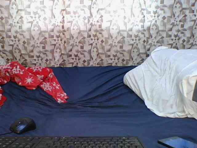 Hornyskyller webcam