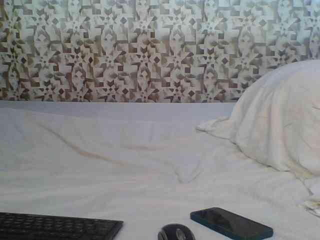 Hornyskyller webcam