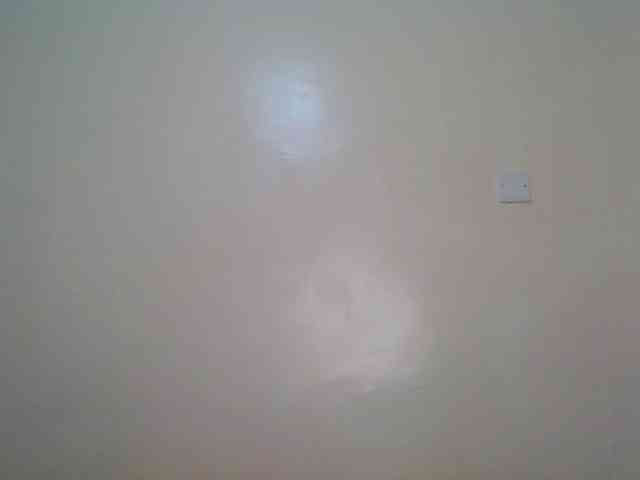 Hornyskyller webcam