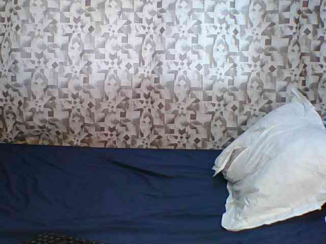 Hornyskyller webcam