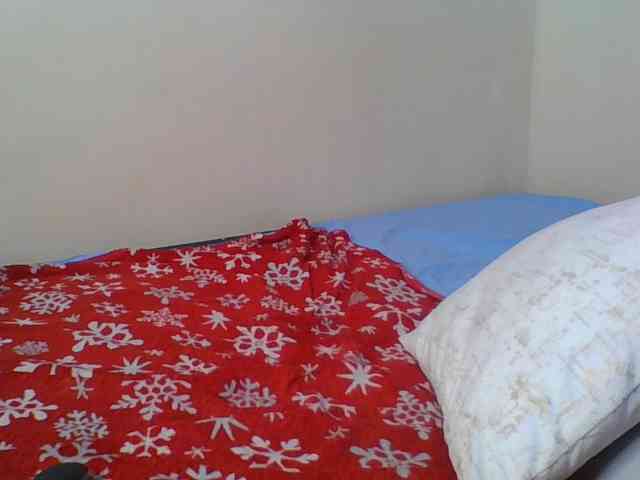 Hornyskyller webcam