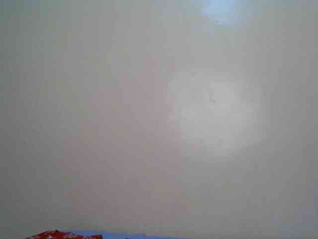 Hornyskyller webcam