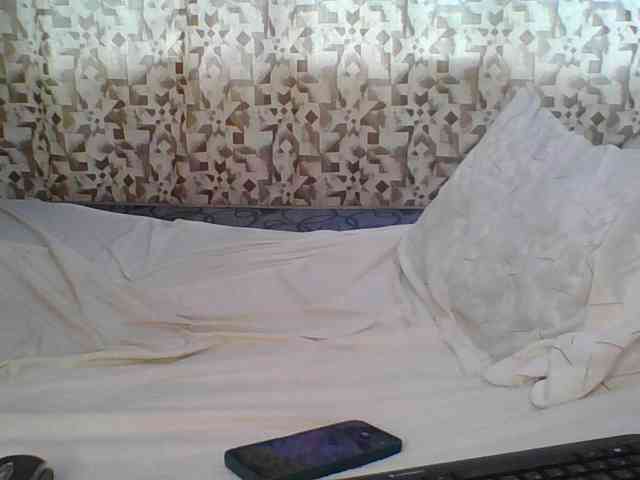 Hornyskyller webcam
