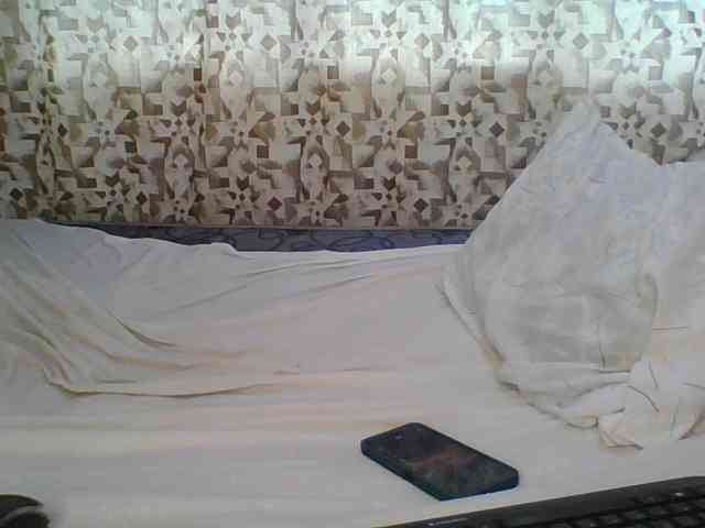 Hornyskyller webcam