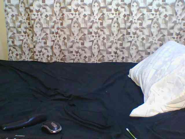 Hornyskyller webcam