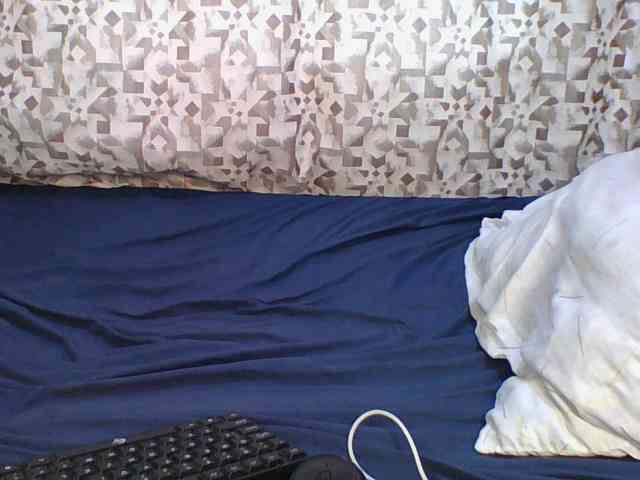 Hornyskyller webcam