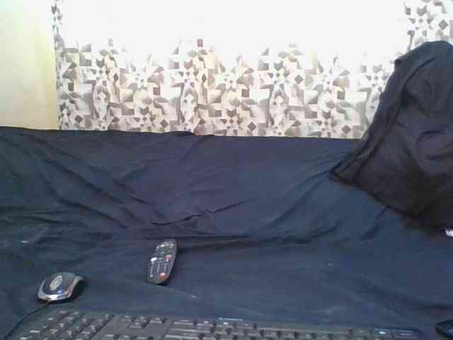 Hornyskyller webcam