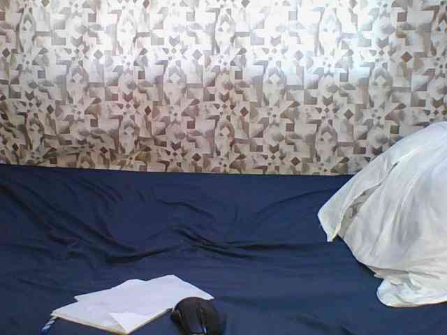 Hornyskyller webcam