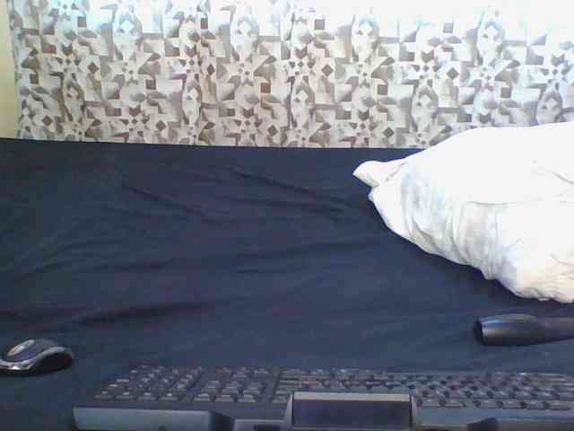 Hornyskyller webcam