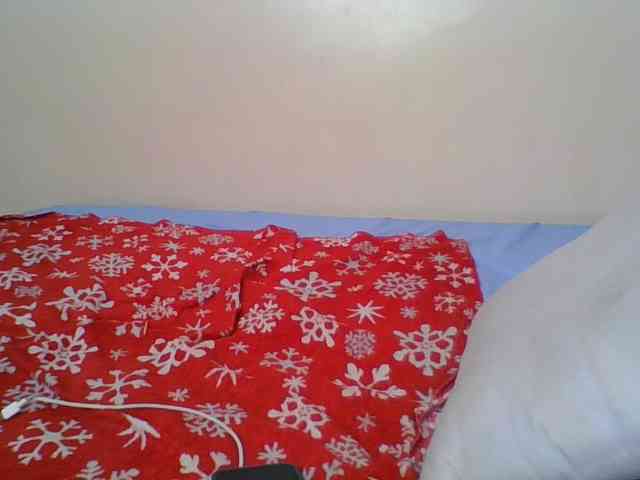 Hornyskyller webcam