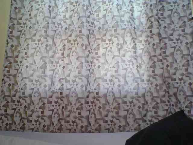 Hornyskyller webcam