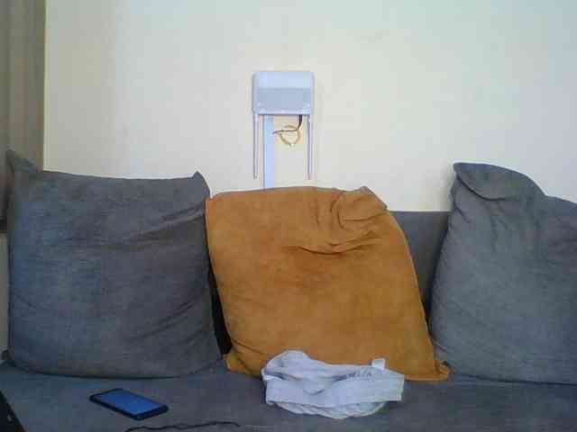 Hornyskyller webcam