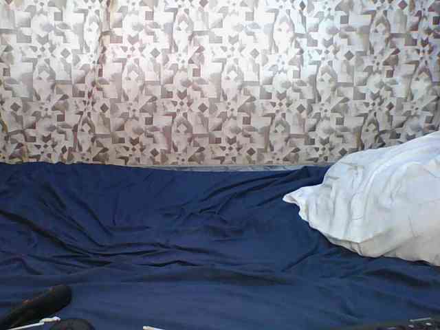 Hornyskyller webcam