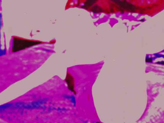 Chereshnya_ webcam